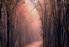 黑白体育：官方：欧足联调查姆巴佩等皇马球员客战马竞时不.